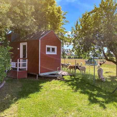 Tiny House Auf Der Alpaka Farm Villa Rubkow ภายนอก รูปภาพ