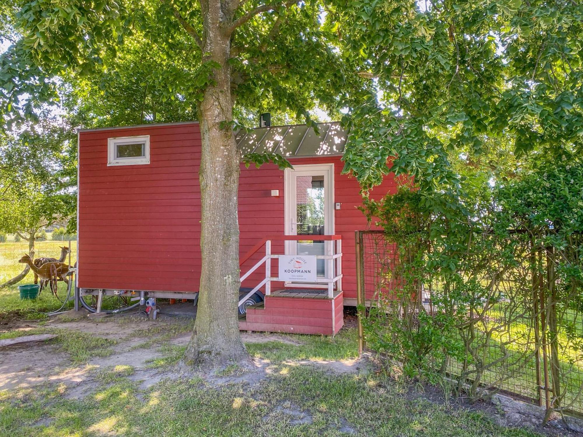 Tiny House Auf Der Alpaka Farm Villa Rubkow ภายนอก รูปภาพ