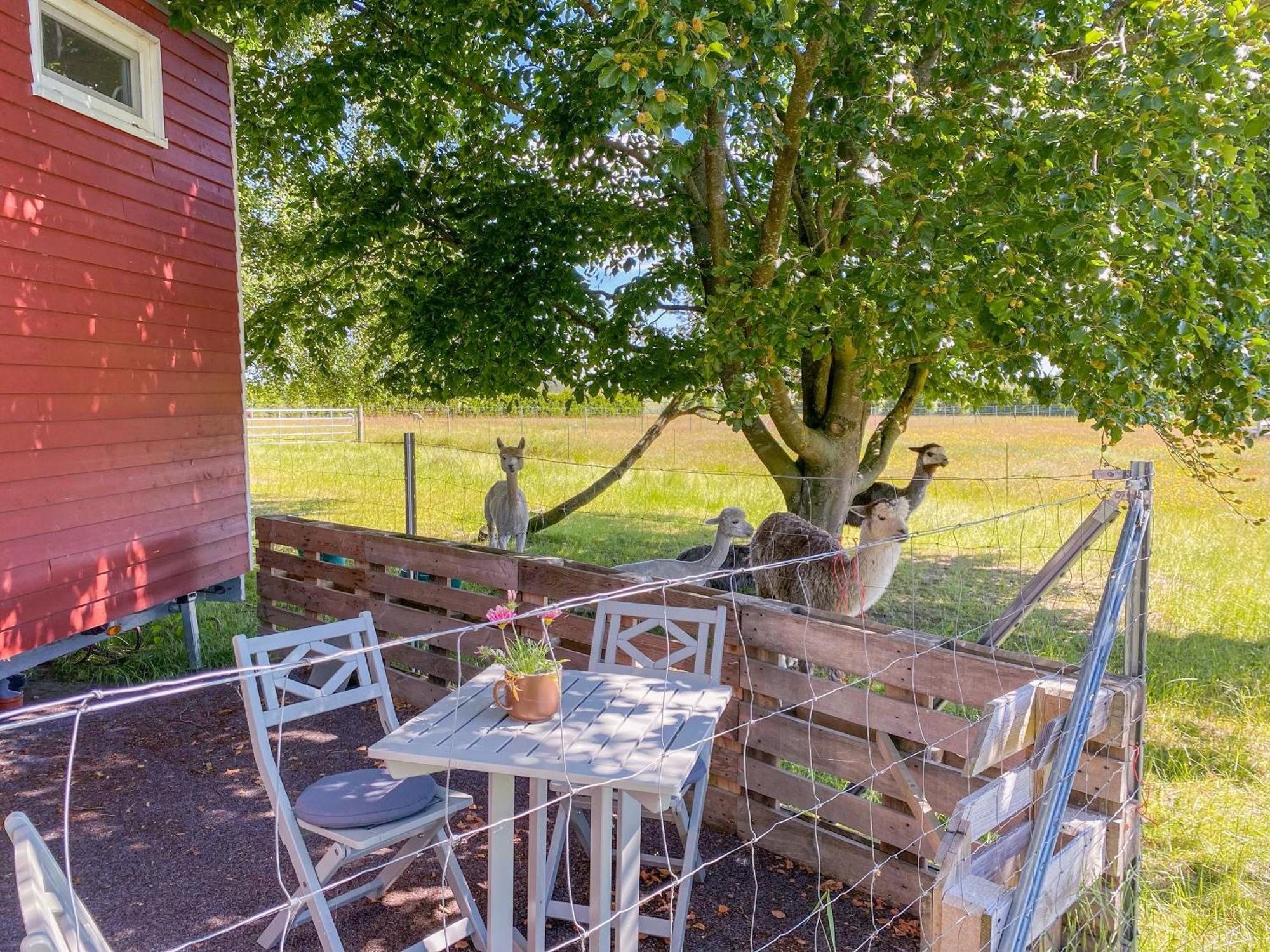 Tiny House Auf Der Alpaka Farm Villa Rubkow ภายนอก รูปภาพ